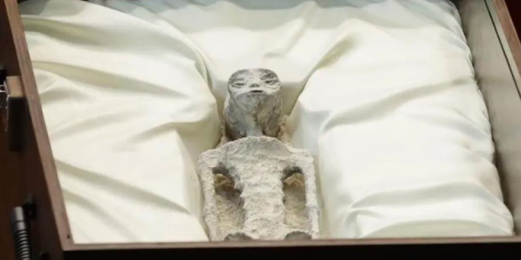 В Мексиканському конгресі показали мумії іншопланетян (ФОТО, ВІДЕО)