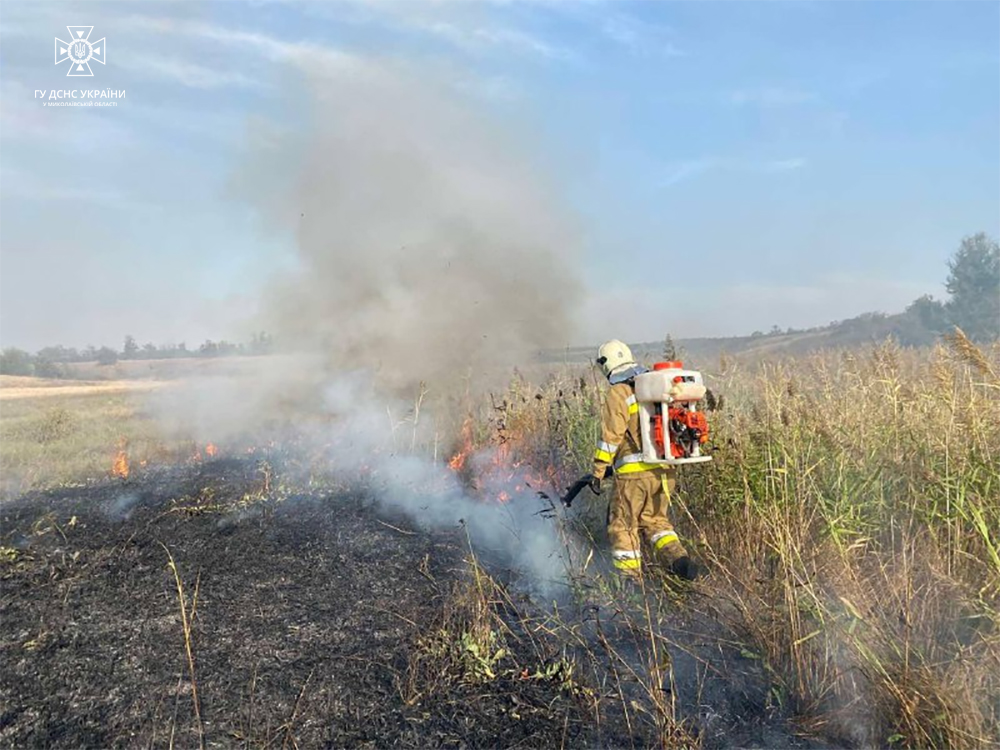 За добу на Миколаївщині зареєстровано 22 пожежі – вигоріло 22 га лісу і 16 га відкритих територій (ФОТО) 6