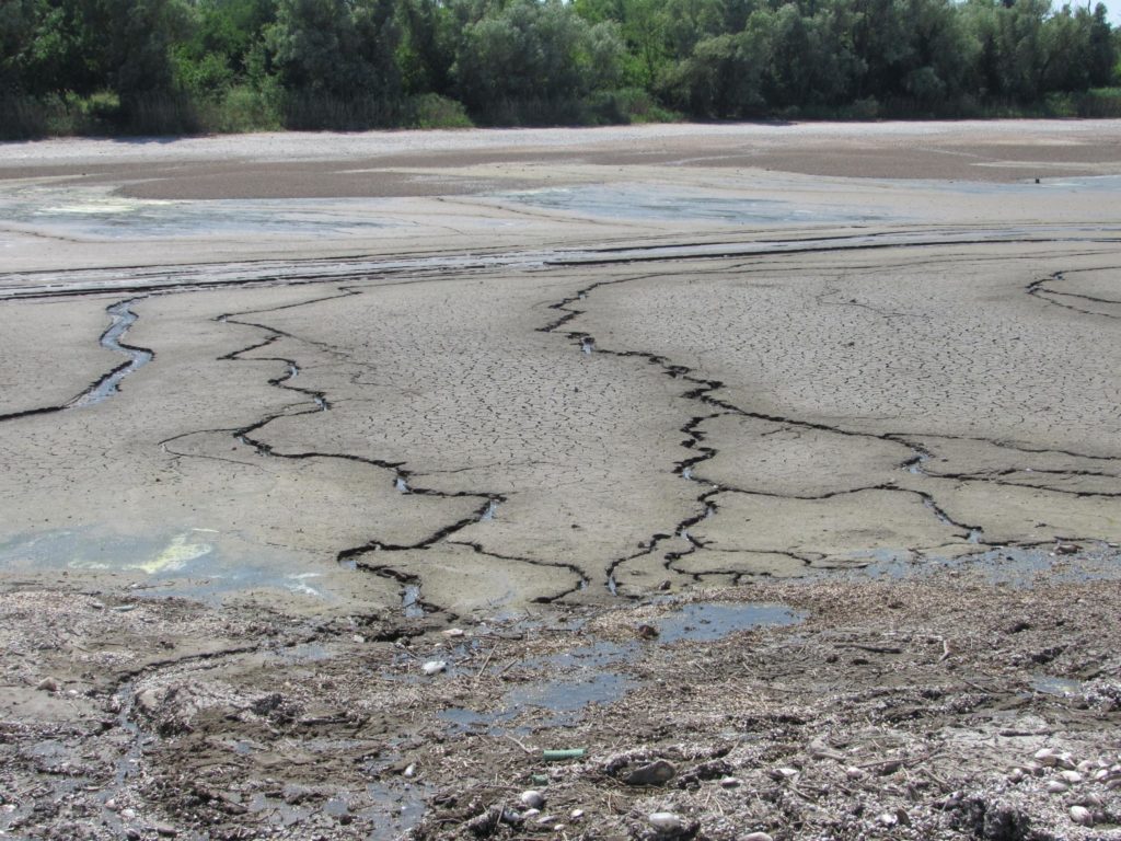 Нова екосистема на Каховському водосховищі сформується за 40 років (ФОТО) 6