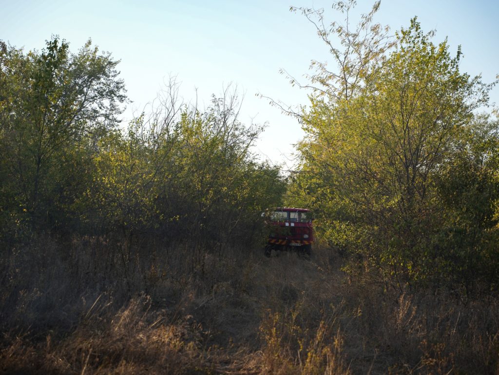 Варюшинський ліс, відкриті території, автівки та комбайни: що за добу гасили вогнеборці Миколаївщини (ФОТО) 6