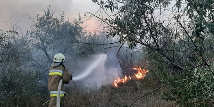 На Миколаївщині на одній з 22 пожеж за добу травмувався літній чоловік (ФОТО)