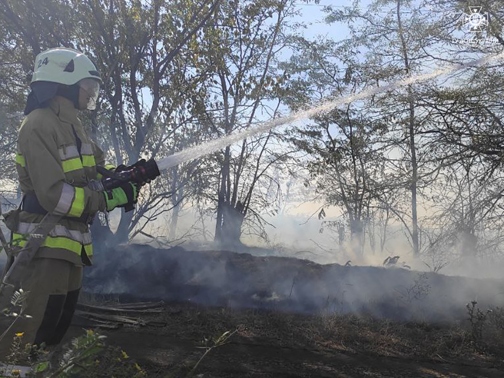 За добу на Миколаївщині зареєстровано 22 пожежі – вигоріло 22 га лісу і 16 га відкритих територій (ФОТО) 8