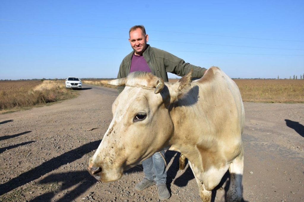 Мешканцям сіл двох громад на Миколаївщині передали першу партію корів (ФОТО) 8