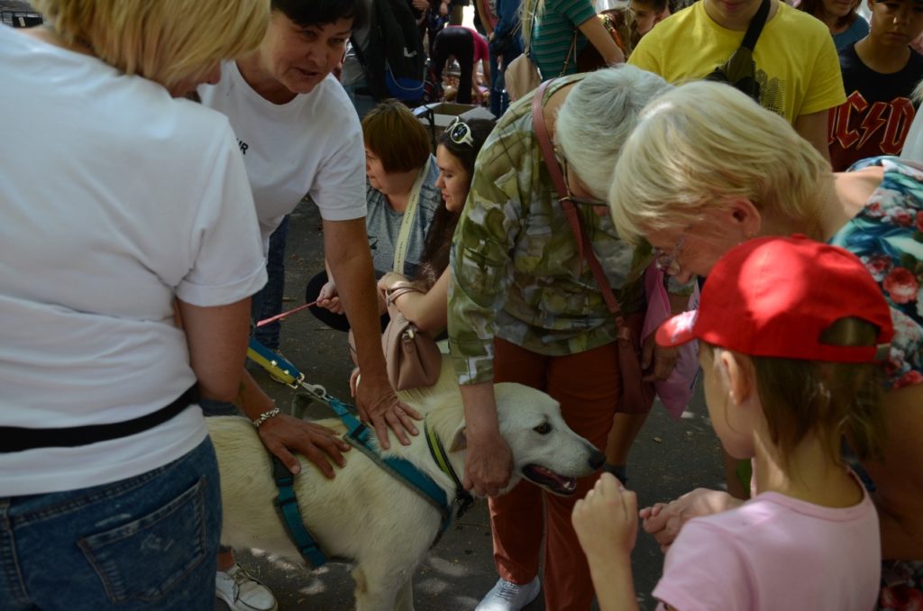 У Миколаєві відбулась чергова виставка-прилаштування собак: майже половині вдалось знайти дім (ФОТО) 7