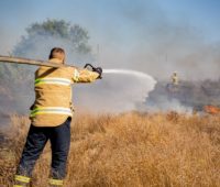 “Палаюча”доба для вогнеборців: на Миколаївщині вигоріло понад 50 га (ФОТО, ВІДЕО)