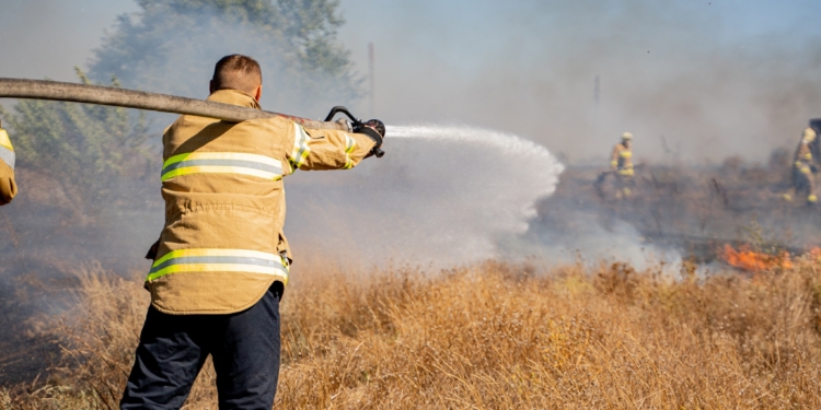 “Палаюча”доба для вогнеборців: на Миколаївщині вигоріло понад 50 га (ФОТО, ВІДЕО)