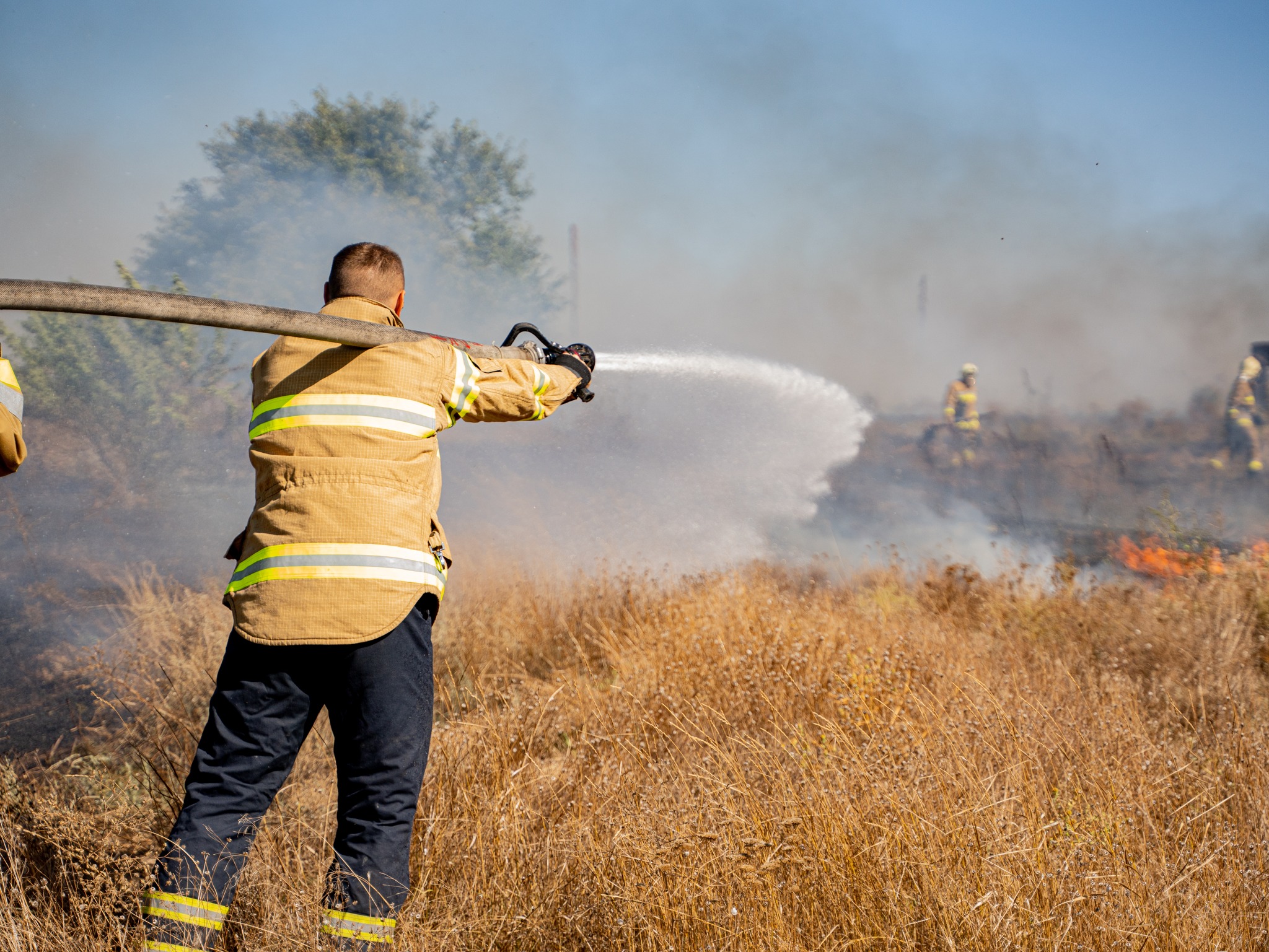 “Палаюча”доба для вогнеборців: на Миколаївщині вигоріло понад 50 га (ФОТО, ВІДЕО) 41