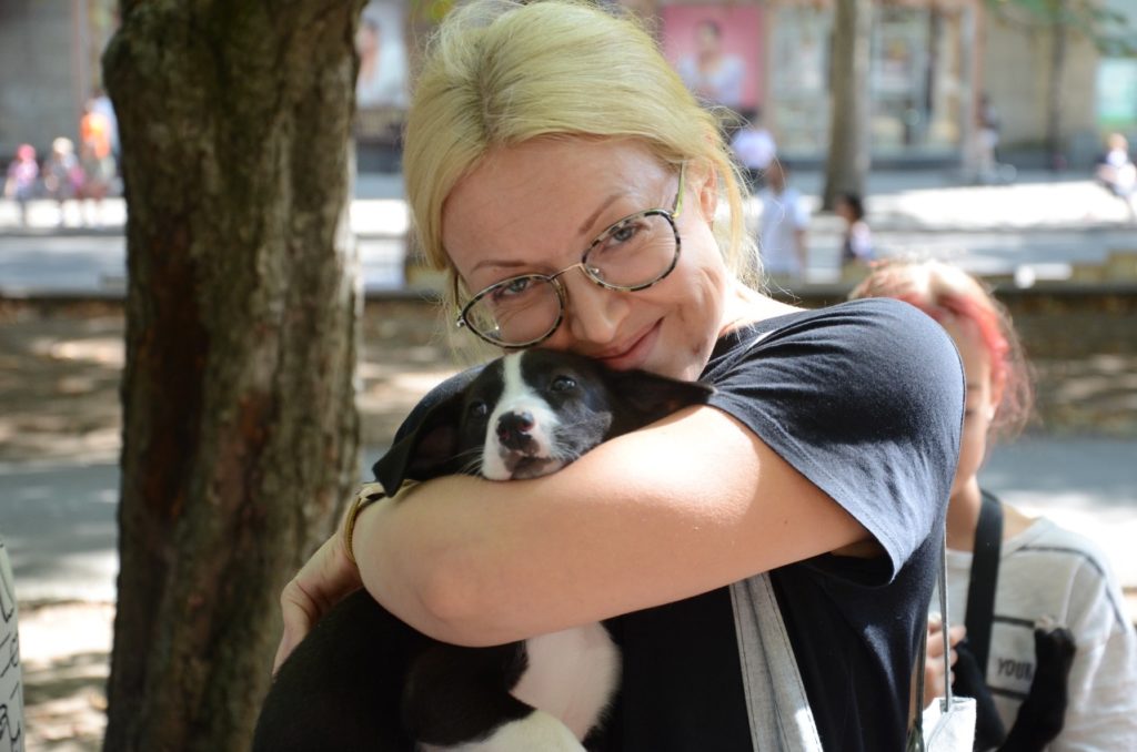 У Миколаєві відбулась чергова виставка-прилаштування собак: майже половині вдалось знайти дім (ФОТО) 9