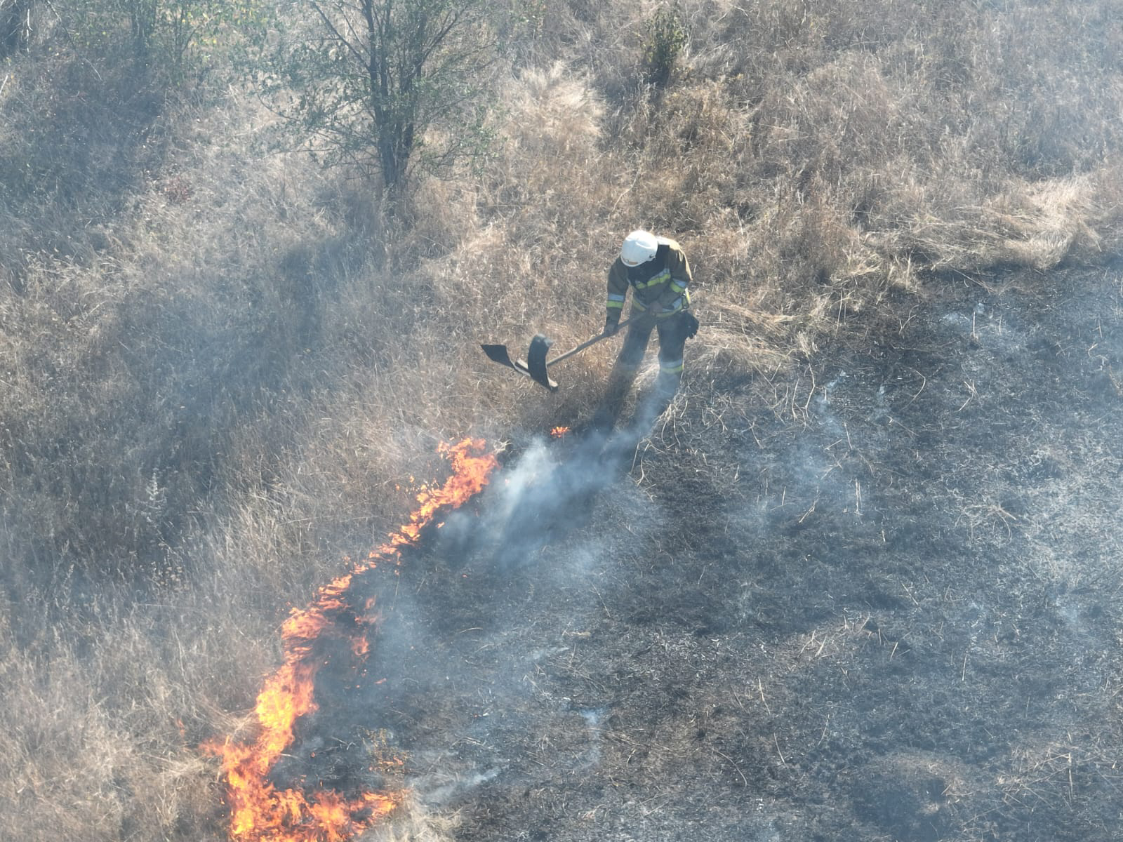 Три пожежі в житловому секторі, одна на транспорті і ще 13 – на відкритих територіях: що протягом доби гасили вогнеборці Миколаївщини (ФОТО)