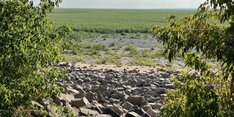 Нова екосистема на Каховському водосховищі сформується за 40 років (ФОТО)