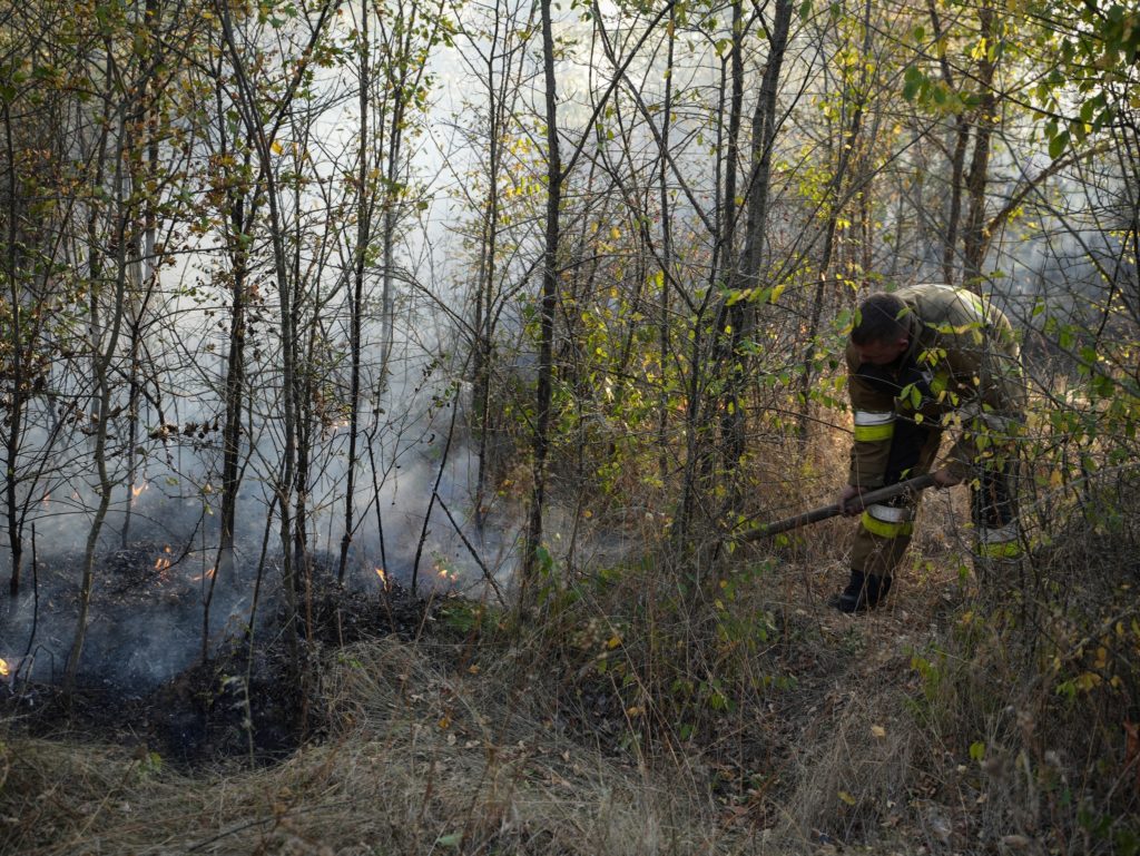 Варюшинський ліс, відкриті території, автівки та комбайни: що за добу гасили вогнеборці Миколаївщини (ФОТО) 12