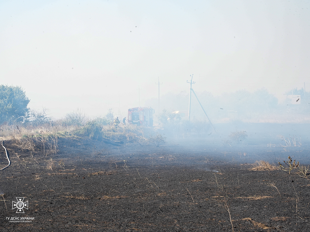 Вогнеборці впорались з двома великими пожежами на Миколаївщині: вигоріло 12 га, але будинки збережені (ФОТО) 14