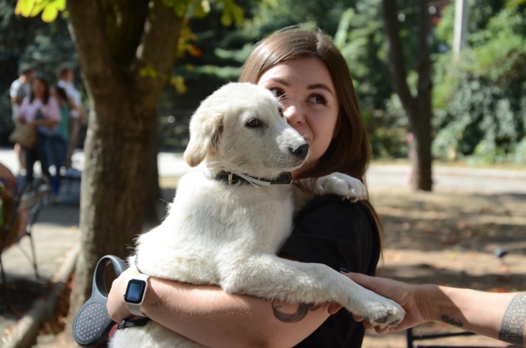 У Миколаєві відбулась чергова виставка-прилаштування собак: майже половині вдалось знайти дім (ФОТО) 15