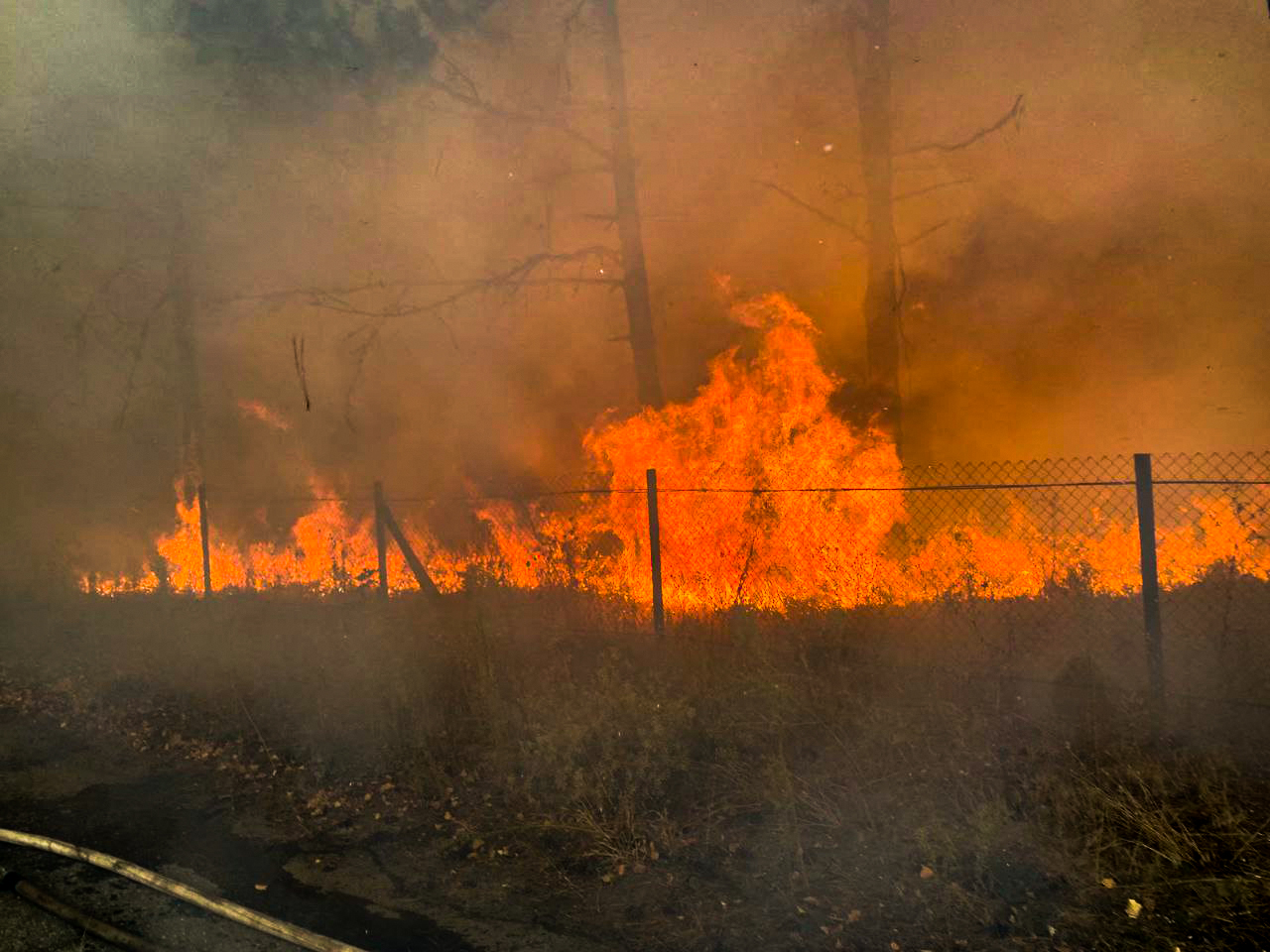 Тепер горить в Рибаківці на Миколаївщині – вогнеборці не дають вогню перекинутись на бази відпочинку (ФОТО)