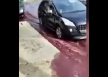 В Португалії місто затопило червоним вином (ВІДЕО)