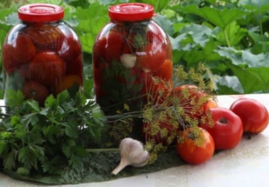 Мінімум клопоту. Маринуємо помідори холодним способом 