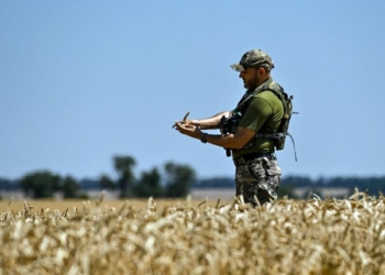 Сіяти чи не сіяти? Головне питання українських аграріїв цієї осені