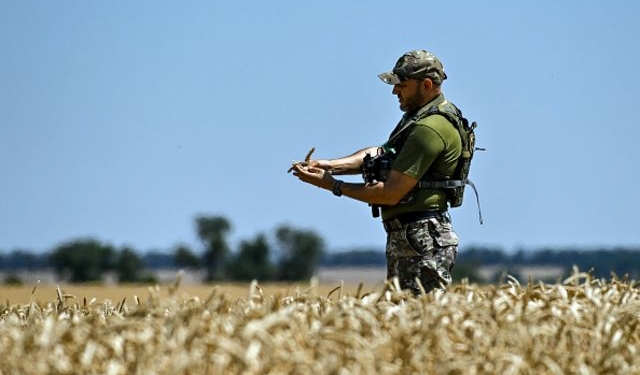 Сіяти чи не сіяти? Головне питання українських аграріїв цієї осені