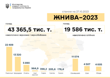Жнива-2023: в Україні вже намолочено понад 63 млн тонн зернових та олійних культур