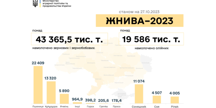 Жнива-2023: в Україні вже намолочено понад 63 млн тонн зернових та олійних культур