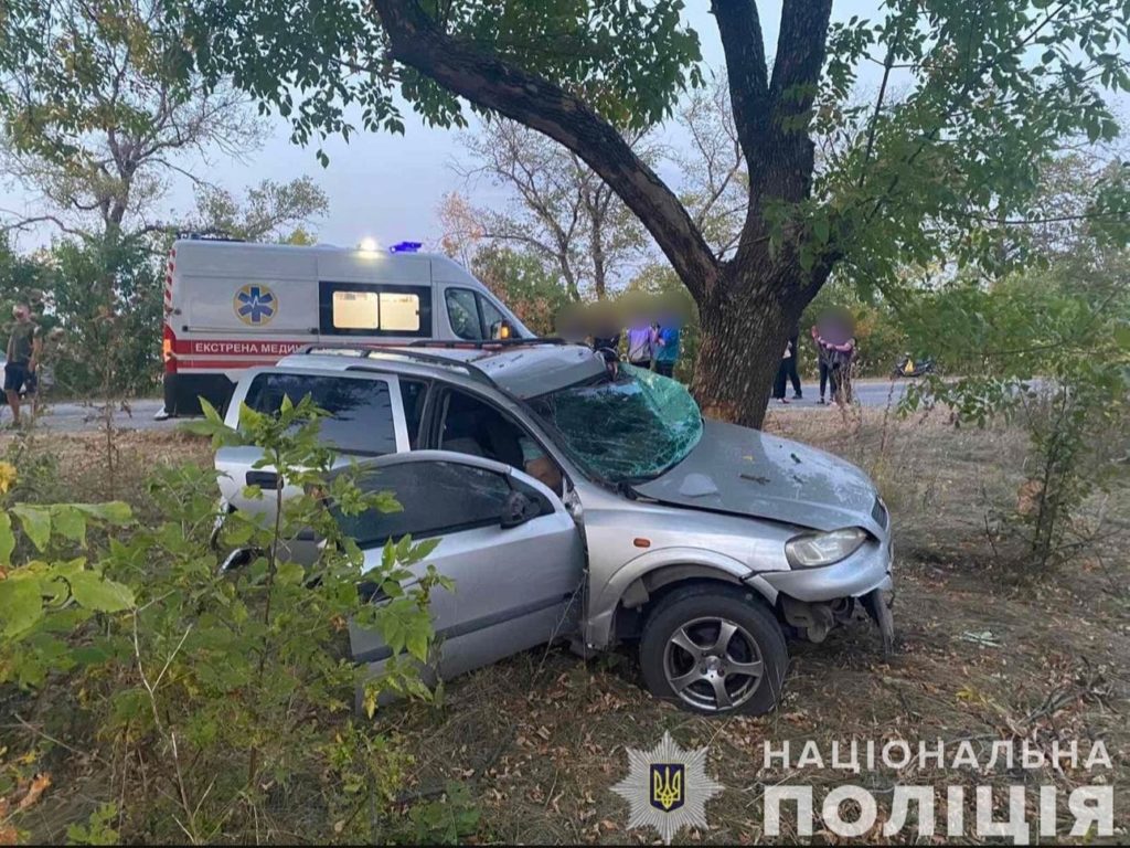 На Миколаївщині в ДТП загинув водій легковика (ФОТО) 2