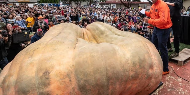 Що з ним робитимуть? В США виростили гарбуз вагою 1,2 тонни (ФОТО)