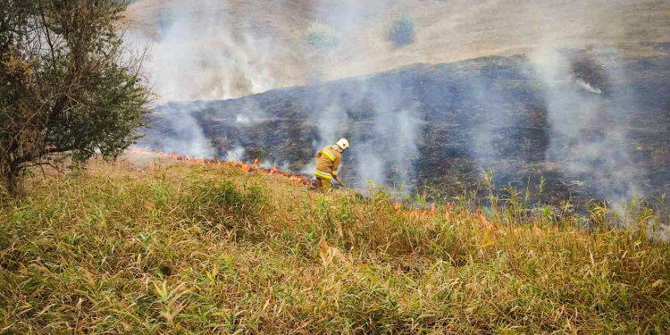 За добу на Миколаївщині зареєстровано 6 пожеж