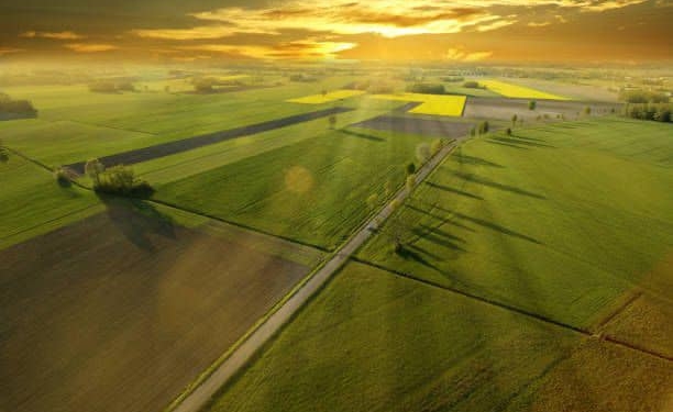 В Україні запрацює пілотний проект з проведення масової оцінки земель