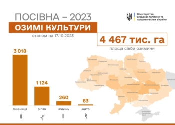 За два тижні в Україні в півтори рази збільшили площу під посіяною озиминою