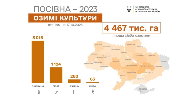 За два тижні в Україні в півтори рази збільшили площу під посіяною озиминою