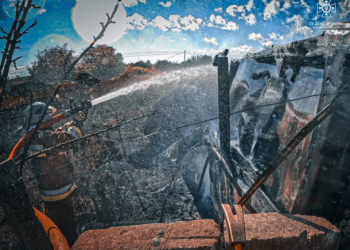 На Миколаївщині знову горіли сухостої – на одного з паліїв складено адміністративний протокол (ФОТО)