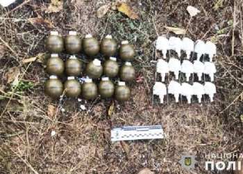На Миколаївщині поліцейські викрили чоловіка на незаконному зберіганні 15 гранат та наркозілля (ФОТО)