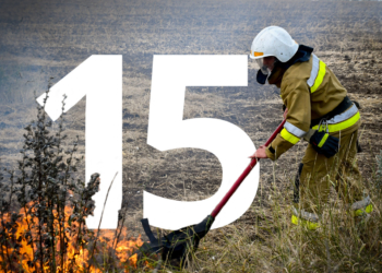 Вчора на території Миколаївської області зафіксовано 13 вогневих випадків в екосистемах