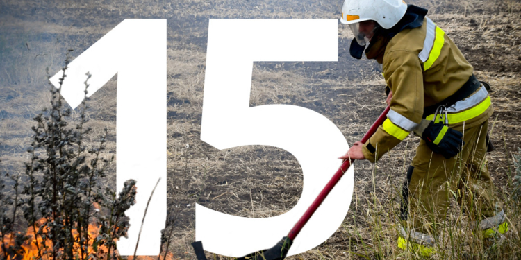 Вчора на території Миколаївської області зафіксовано 13 вогневих випадків в екосистемах