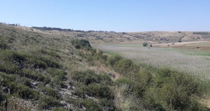 Екологи пропонують створити на Миколаївщині ще один заказник – «Чичиклійський»