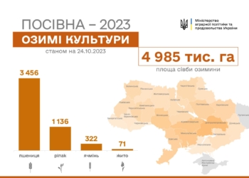 Посівна-2023: за тиждень українські аграрії засіяли озиминою ще 0,5 млн.га