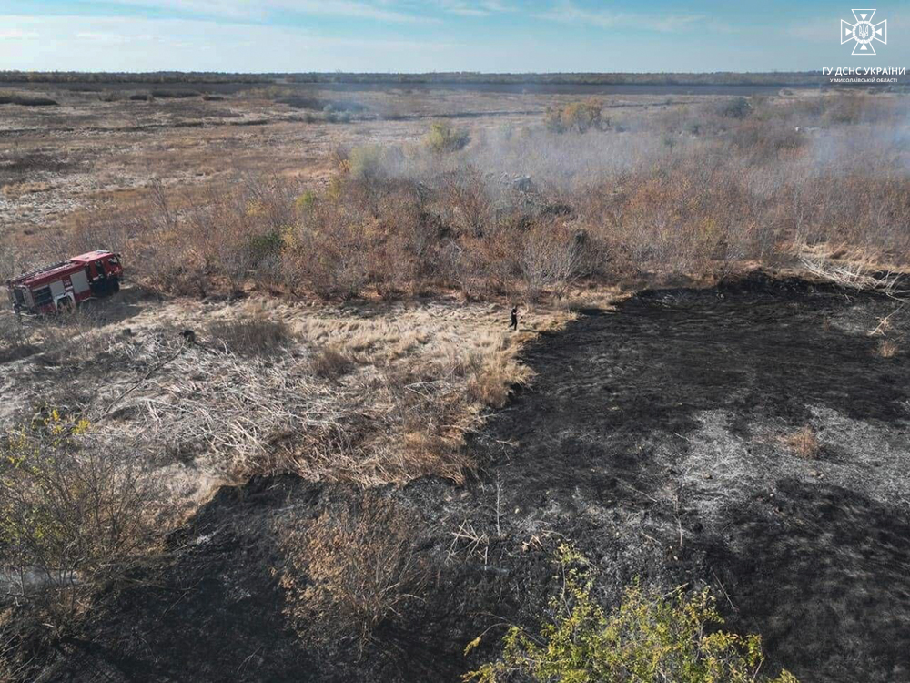 На Миколаївщині знову доба пожеж сухостоїв (ФОТО) 2