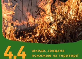 Пожежа в РЛП «Тилігульський» нанесла шкоди на понад 4 млн.грн. – ДЕІ подала заяву в поліцію