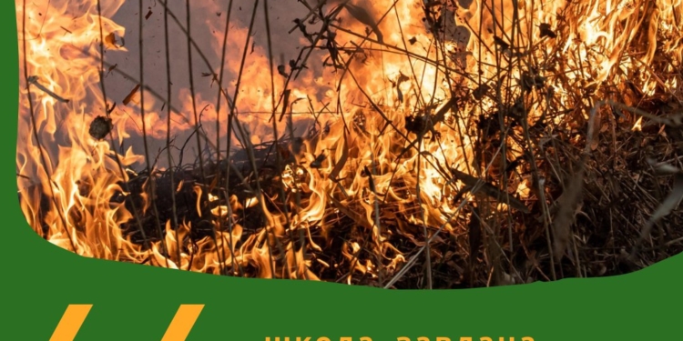 Пожежа в РЛП «Тилігульський» нанесла шкоди на понад 4 млн.грн. – ДЕІ подала заяву в поліцію