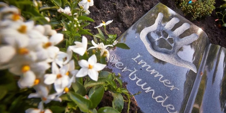 У Німеччині відкриють храм для прощання з домашніми тваринами