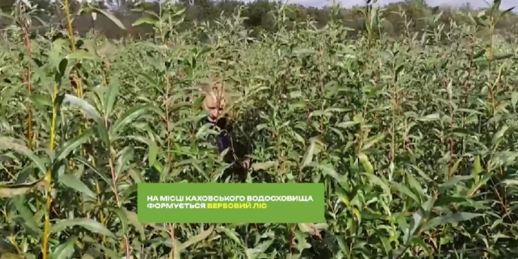 Не буде ані пустелі, ані навали інвазійних видів: науковці Української природоохоронної групи моніторять стан дна Каховського водосховища