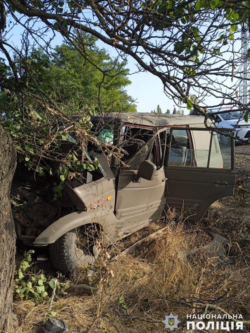 На під”їзді до Миколаєва в дерево врізався легковик – водій та пасажир в лікарні 3