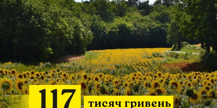На Миколаївщині – черговий факт самозахоплення ділянки лісового фонду: невідомі посіяли соняшник