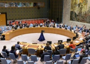 Засідання Ради Безпеки ООН щодо знищення цивільних в с.Гроза – РФ заявила, що вбила неонацистів
