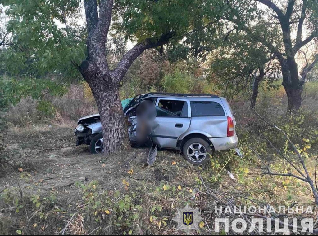 На Миколаївщині в ДТП загинув водій легковика (ФОТО) 4