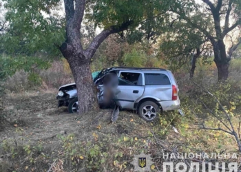 На Миколаївщині в ДТП загинув водій легковика (ФОТО)