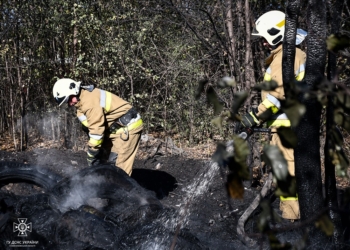 За добу на Миколаївщині зареєстровано 14 пожеж, дві з них – внаслідок бойових дій (ФОТО)