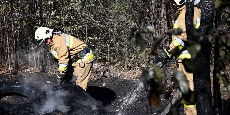 За добу на Миколаївщині зареєстровано 14 пожеж, дві з них – внаслідок бойових дій (ФОТО)