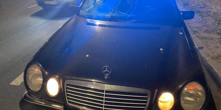 У Миколаєві ввечері молодий водій збив на пішохідному переході літнього чоловіка – постраждалий шпиталізований (ФОТО)