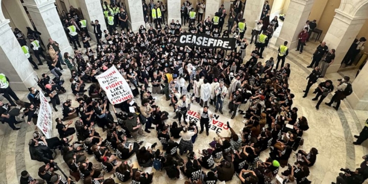 Захисники Палестини увірвались в Капітолій у Вашінгтоні (ФОТО, ВІДЕО)